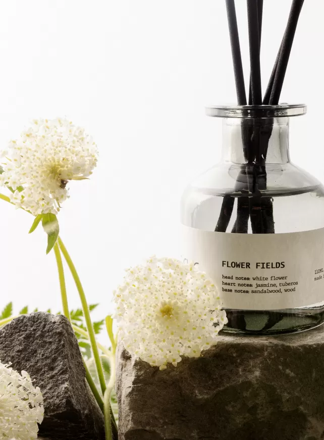 D.CHIC | NEW tiME - NEW ME