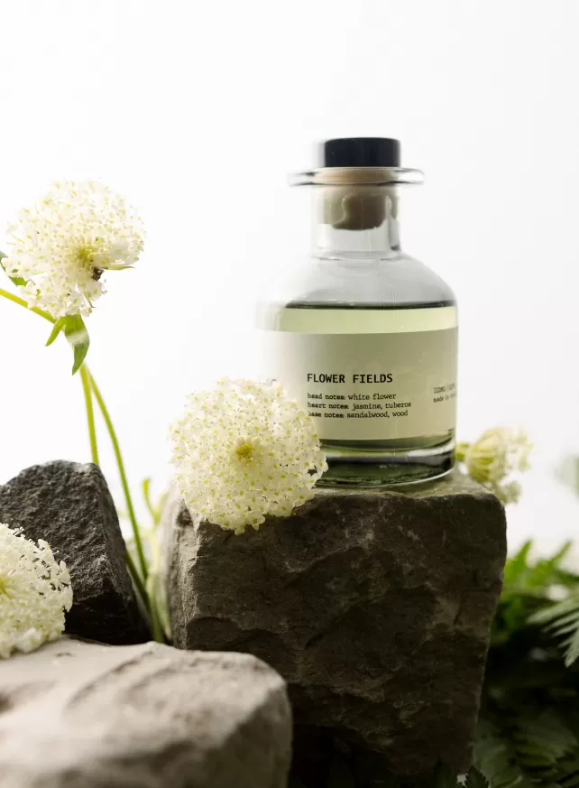 D.CHIC | NEW tiME - NEW ME