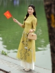 Áo dài by D.CHIC